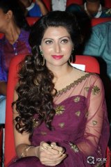 Bengal Tiger Movie Audio Launch